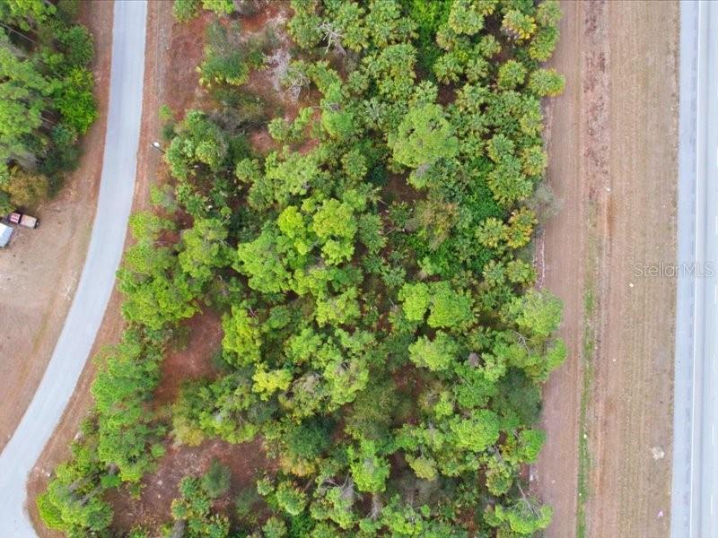 1126207439 BARCELONA DRIVE