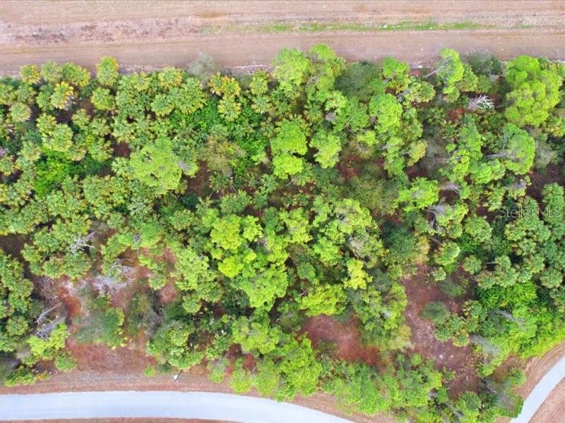 PORT CHARLOTTE SUB 45 - Land