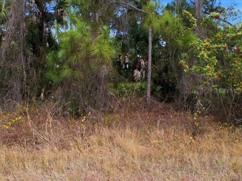 PORT CHARLOTTE SUB 45 - Land