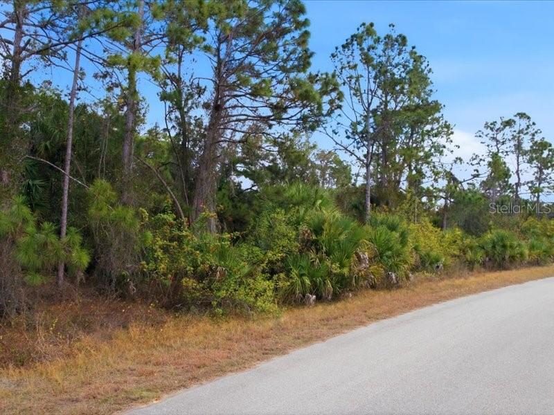 PORT CHARLOTTE SUB 45 - Land