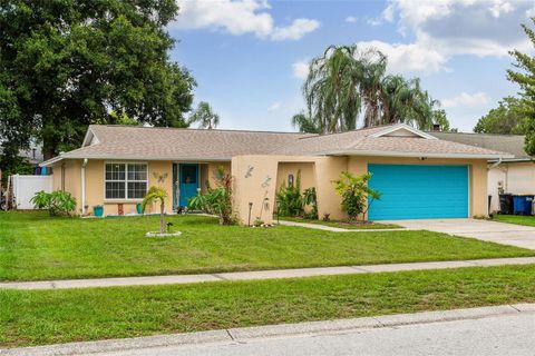 A home in CLEARWATER