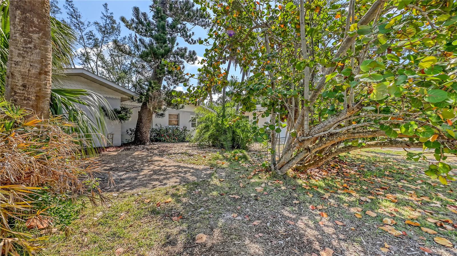 ISLAND CEDARS - Residential
