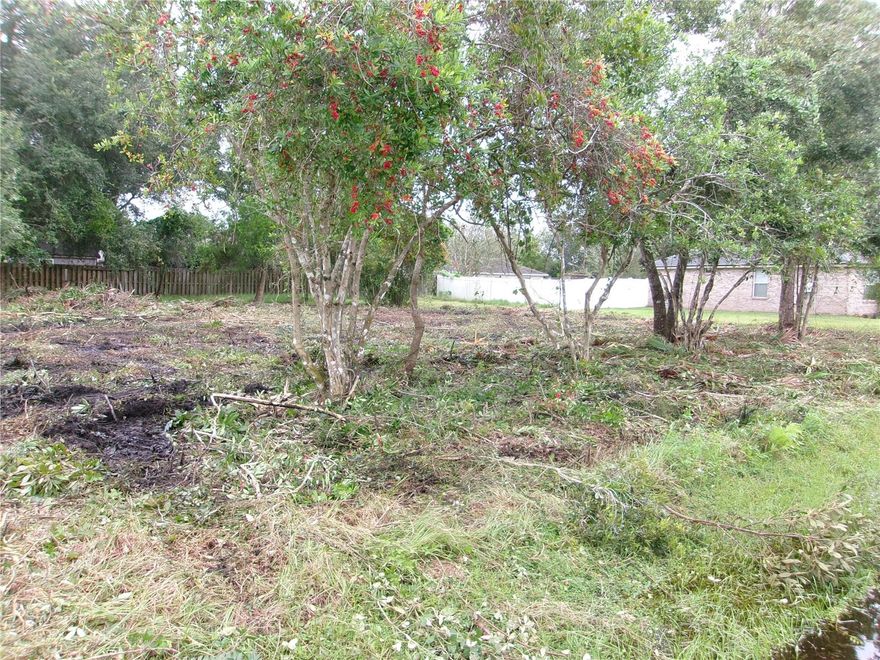 This oversized Matanzas Woods lot boasts a 14,045 sq ft expanse to build your new home on. It is located in an area of lovely homes and if you commute Highway US1 and I95 interchange is a short drive for easy access. Palm Coast is home to more than 10 golf courses, access to tennis courts and community centers. There is a new Advent Hospital in Palm Coast, Doctors, Schools, shopping, restaurants and entertainment. If you love the beach, the beautiful sandy beaches of Palm Coast is a 10 mile drive.