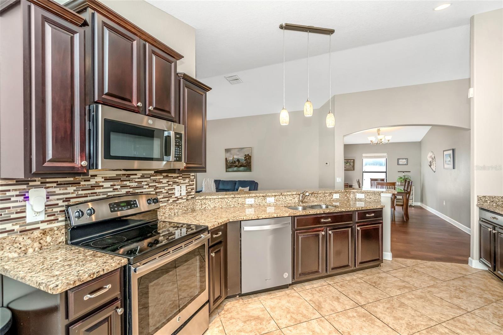 12539 MOUNTAIN SPRINGS PLACE