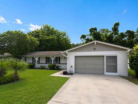 Photo of 13 Courtney Place, Palm Coast, FL 32137 (MLS # FC319440)