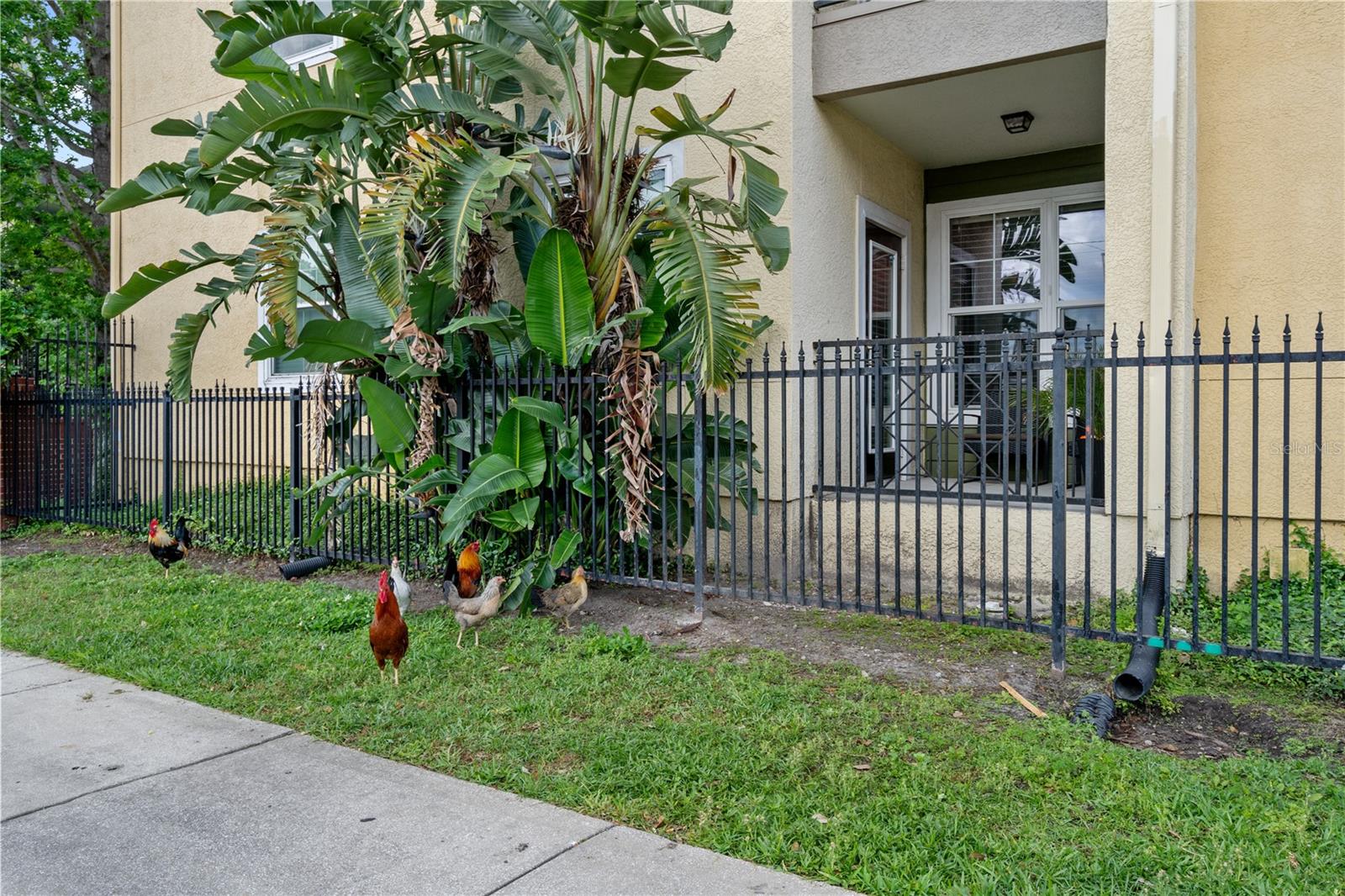 THE QUARTER AT YBOR - Residential