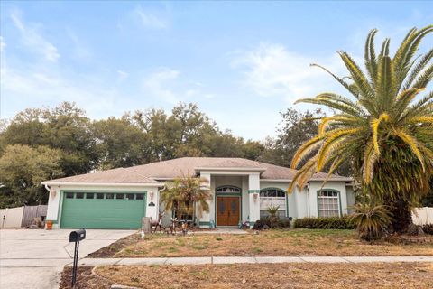 16413 ARROWHEAD TRAIL CLERMONT FL 34711