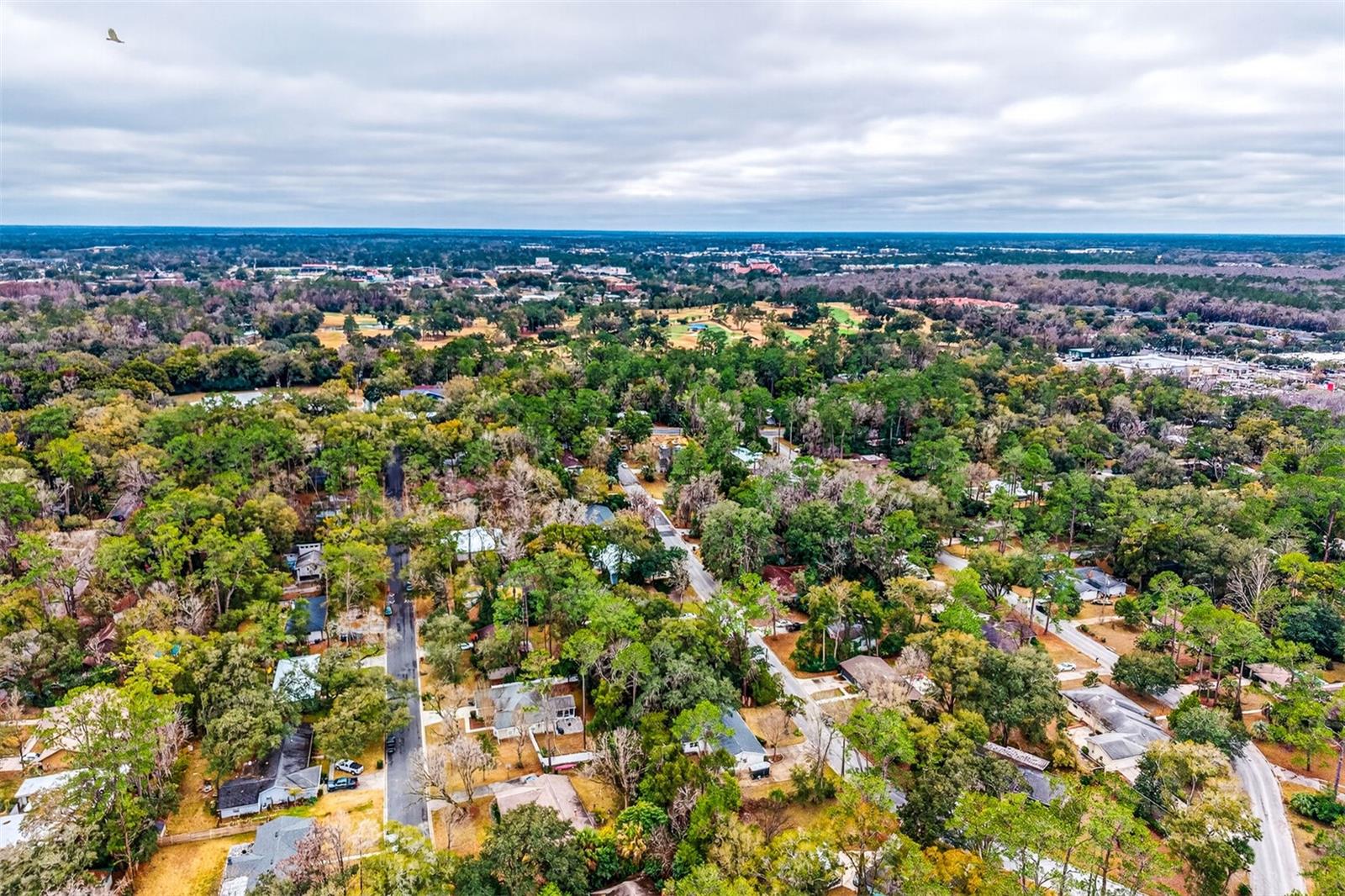 BLACK PINES - Residential