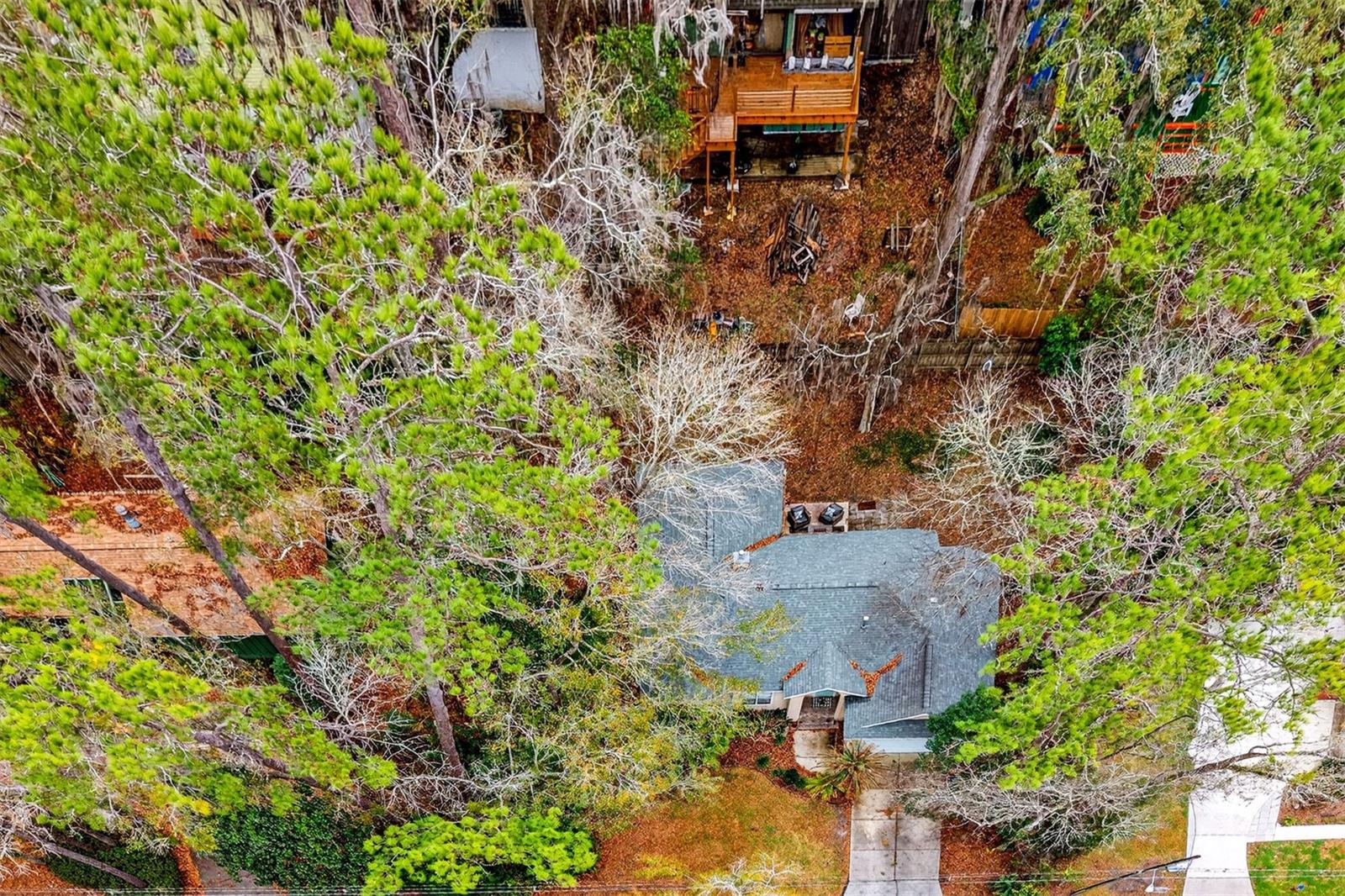 BLACK PINES - Residential