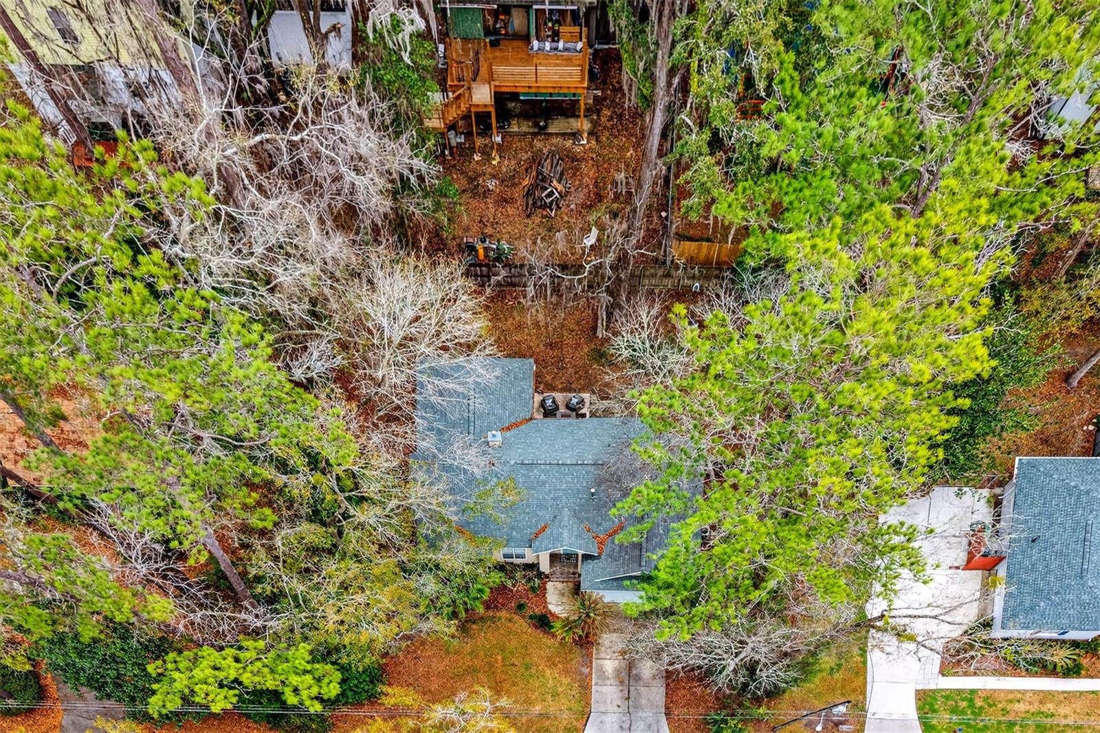 BLACK PINES - Residential