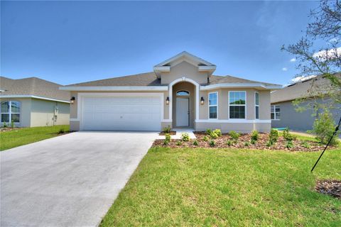 1265 TAGLIAMENTO LANE HAINES CITY FL 33844