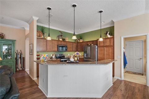 Tiny photo for 552 Wekiva Street, The Villages, FL 32163 (MLS # G5106714)