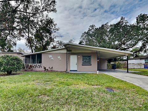 315 LIME TREE ROAD TAMPA FL 33619