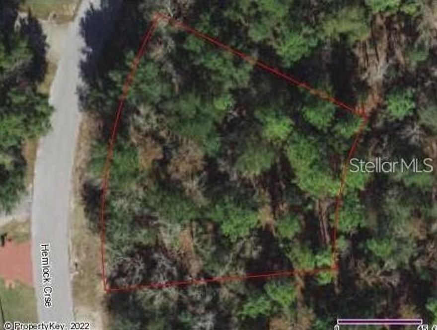 Location, location, location! Build your dream home in the growing Silver Springs Shores neighborhood of Southeast Ocala. This oversized 0.34-acre lot features approximately 114 feet of frontage and 125 feet of depth, providing ample space for a custom residence, outdoor living, and future improvements.

Downtown Ocala is just a short drive away, offering a wide variety of shopping, dining, entertainment, and community events, while Publix is conveniently located about five minutes from the property. Outdoor enthusiasts will appreciate nearby recreational options including Baseline Trailhead Park and the Ocala Greenway Disc Golf Course, perfect for enjoying Central Florida’s year-round sunshine.

This buildable homesite is situated on a quiet street surrounded by a blend of new construction and established homes, making it ideal for a primary residence, seasonal retreat, or investment opportunity. The parcel provides convenient access to schools, medical facilities, and everyday amenities, along with quick connections to major roadways such as US-441 and Interstate 75 for easy travel to downtown Ocala, The Villages, Gainesville, and Orlando. Silver Springs State Park, natural springs, trails, and additional parks are all within close proximity.
With no HOA and favorable residential zoning, the property offers flexibility for future development. Electric service is available nearby, and the lot is suitable for well and septic installation in accordance with county requirements. Whether you plan to build now or hold for the future, this property represents an affordable opportunity in one of Ocala’s steadily growing communities.