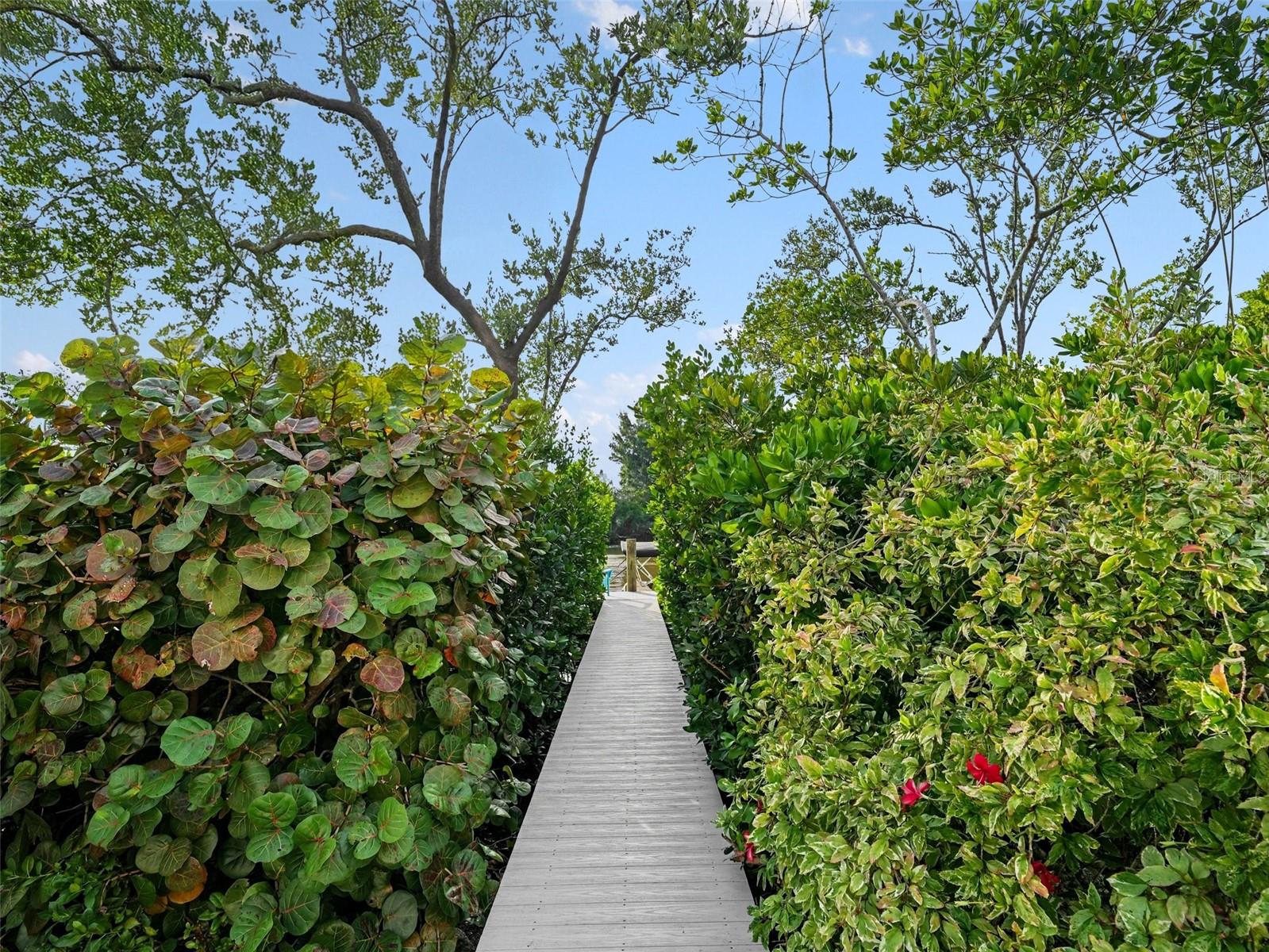 COCONUT BAYOU - Residential