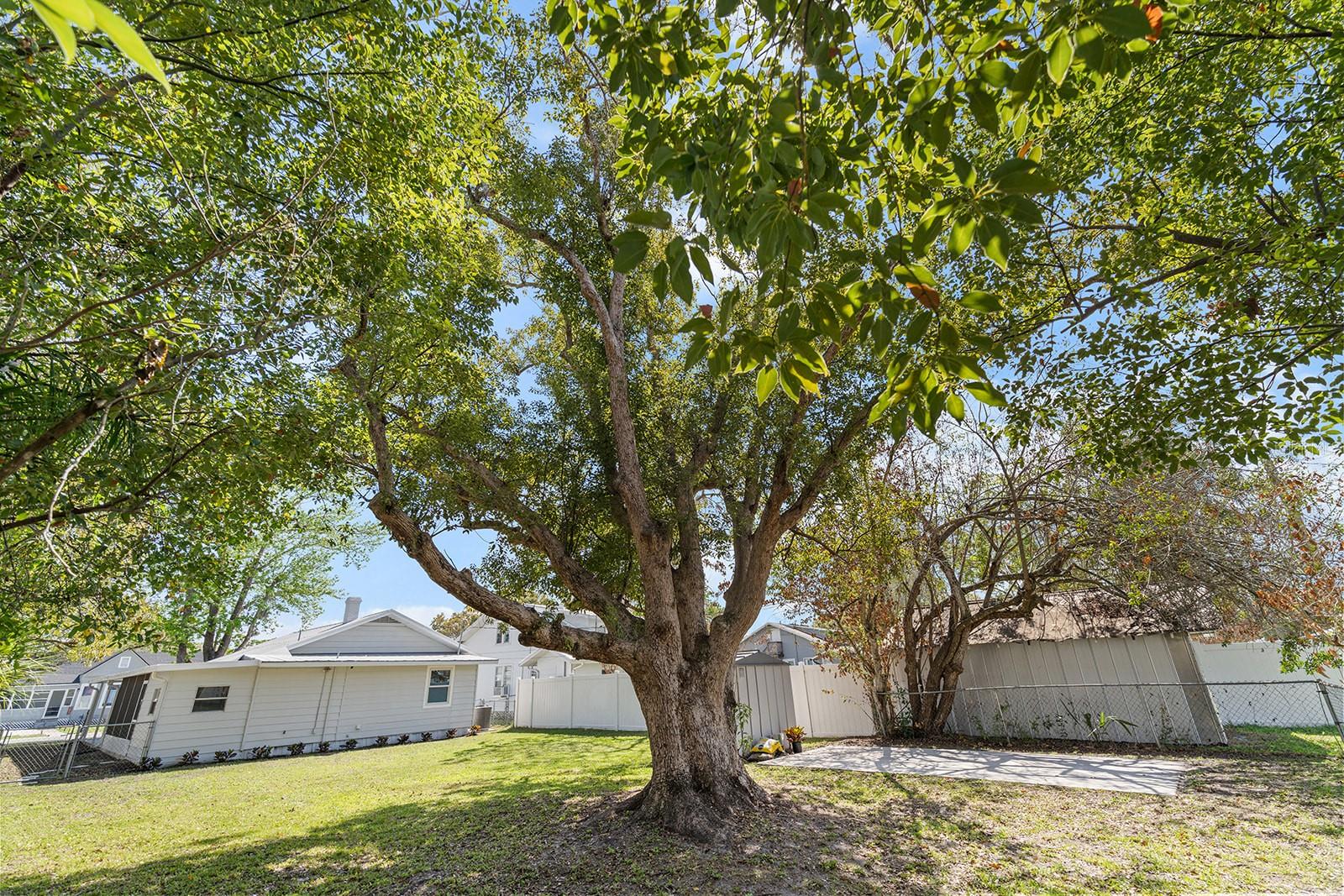 ST CLOUD 2ND TOWN OF - Residential