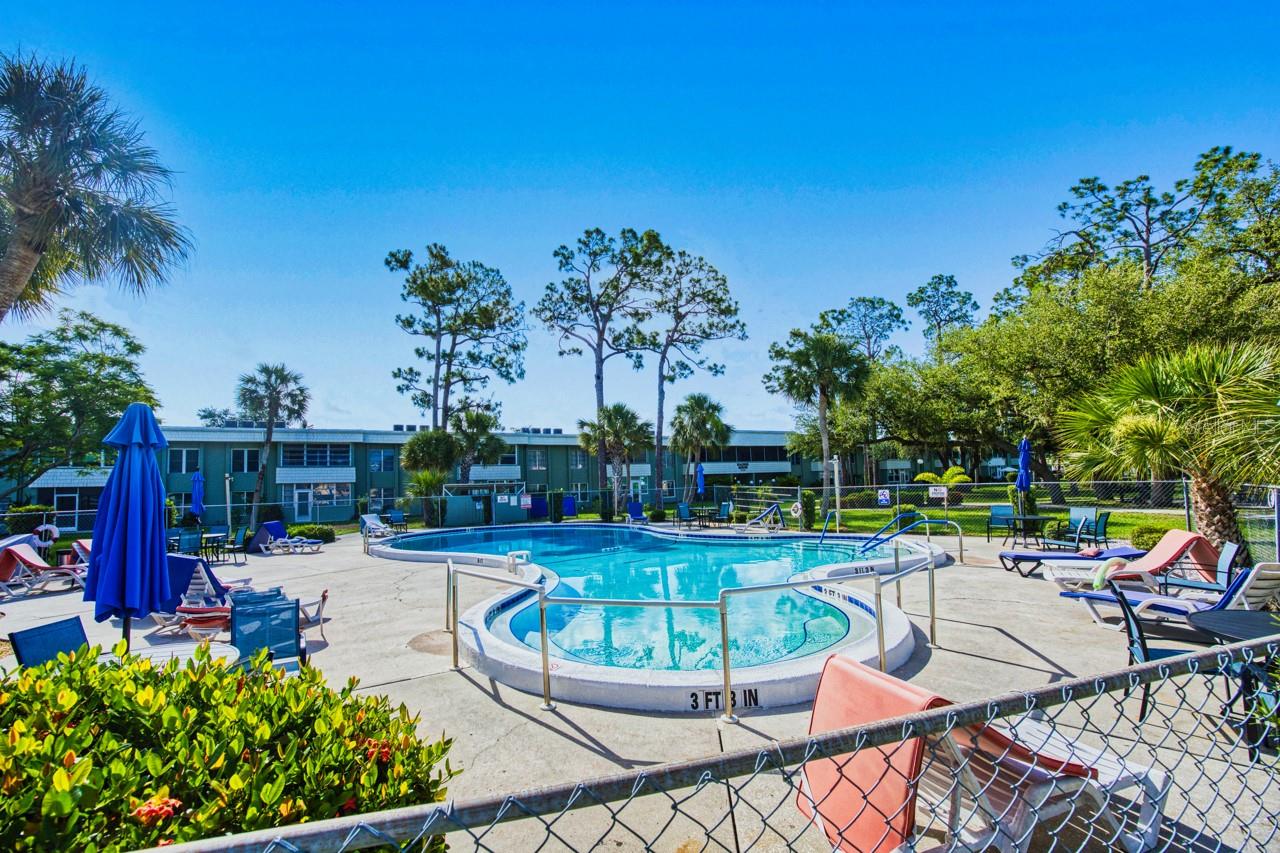 Meticulously Maintained Turnkey Condo with Resort-Style Amenities!
Discover the perfect blend of comfort, convenience, and carefree living in this beautifully maintained condo, offered by its single, long-term owner. This move-in-ready unit features a bright, open-concept living space with tile flooring throughout, all freshly painted and professionally cleaned for a fresh start.
The spacious kitchen showcases newer appliances, a pantry, and generous cabinet space—perfect for any home chef. New ceiling panels and new LED lights enhance the kitchen's brightness, while a brand-new electrical panel, whole-house surge protector, and updated switches, sockets, and GFCIs (a recent $9K investment) provide peace of mind and energy efficiency.
The inviting bedroom offers double closet doors and ample space, while the bathroom combines style and function with a tub/shower combo perfect for daily comfort. Enjoy elevator access to this second-floor unit, along with the convenience of main-floor exterior storage for bikes and more.
Additional highlights include:
Newer A/C unit (just over a year old) that just passed an inspection from an electrician
Newer roof on the building
Assigned covered parking ensures your vehicle is always protected from the weather
Separate locked storage unit on main floor
Turnkey sale—just bring your suitcase!
Enjoy a vibrant and active community lifestyle with access to two pools, tennis courts, bocce ball, a billiard room, community room, and BBQ grills—perfect for entertaining or relaxing with neighbors.
Located in a desirable area close to shops, dining, and recreation, this condo offers the ideal combination of value, location, and lifestyle. Whether you're looking for a full-time residence or a seasonal retreat, this is a must-see opportunity that won't last long!