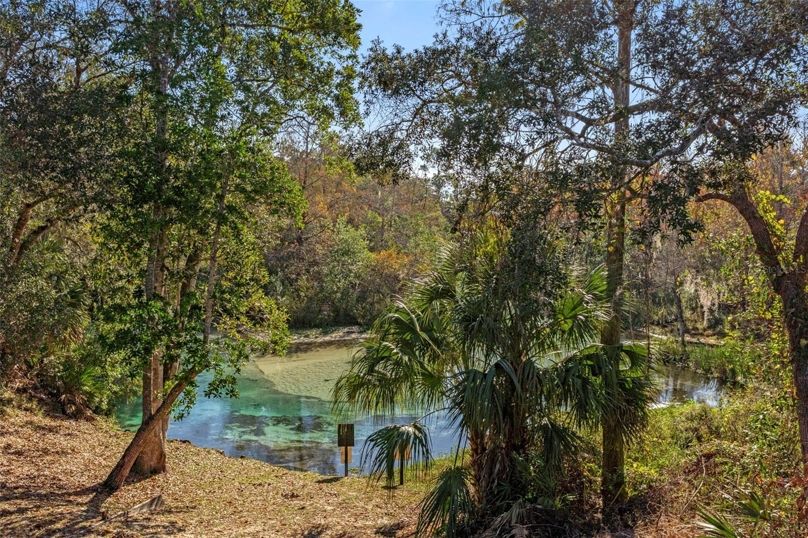 WATERS OF WEEKI WACHEE - Residential