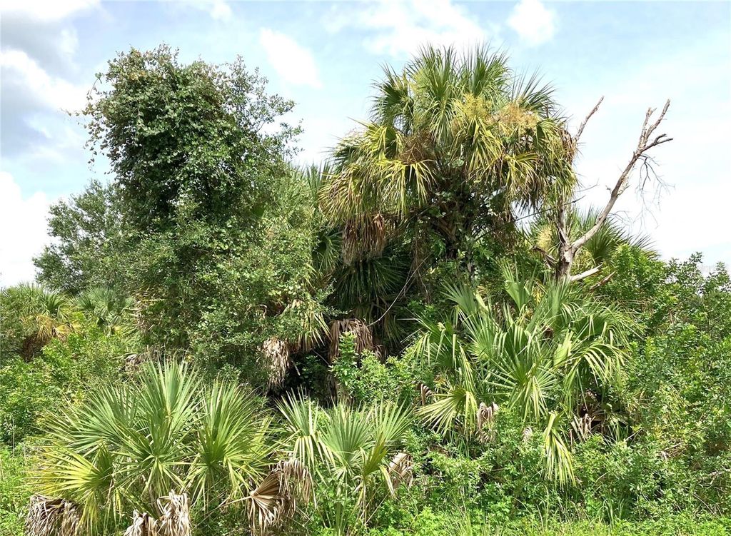 Photo of Fiveleaf Road, North Port, FL 34288 (MLS # O5971819)