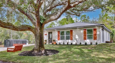 1255 FLINT TRAIL GENEVA FL 32732