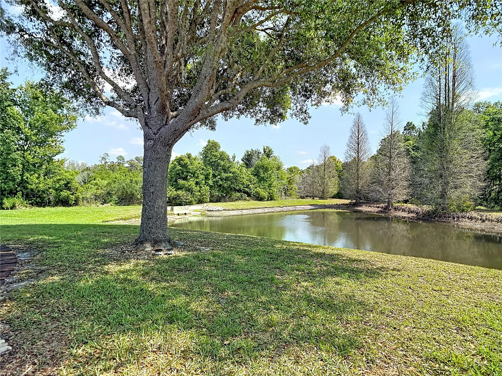 MEADOW POINTE 03 - Residential