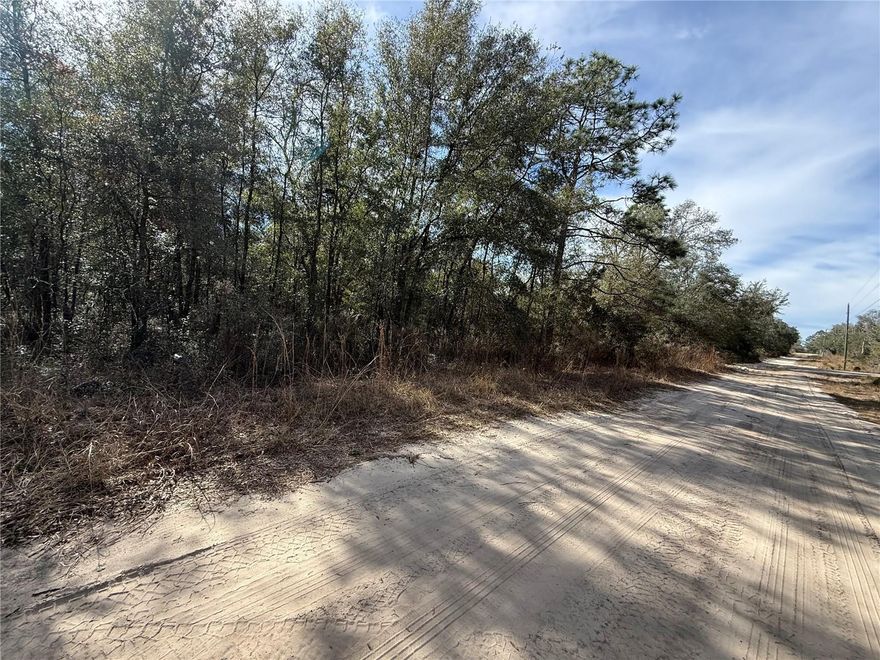 UNIVERSITY ESTATES 1.25 ACRE BUILDING PARCEL! Spacious 1.25 acres of vacant land available in Bronson! Parcel measures about 166' on the road and 309' deep. This is a great opportunity to live in a quiet and private area with no HOA, no flood zone and no time limit to build while still being close to the city for all your needs. This lot is approximately only 17 minutes from Williston and 30 minutes from Gainesville. Call for more information!