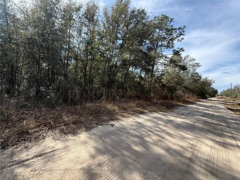 0000 NE 82ND PLACE BRONSON FL 32621