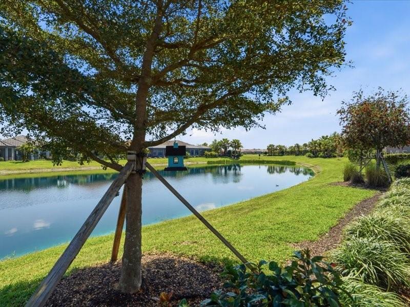 HEIGHTS PH I SUBPH IA & IB & PH II - Residential