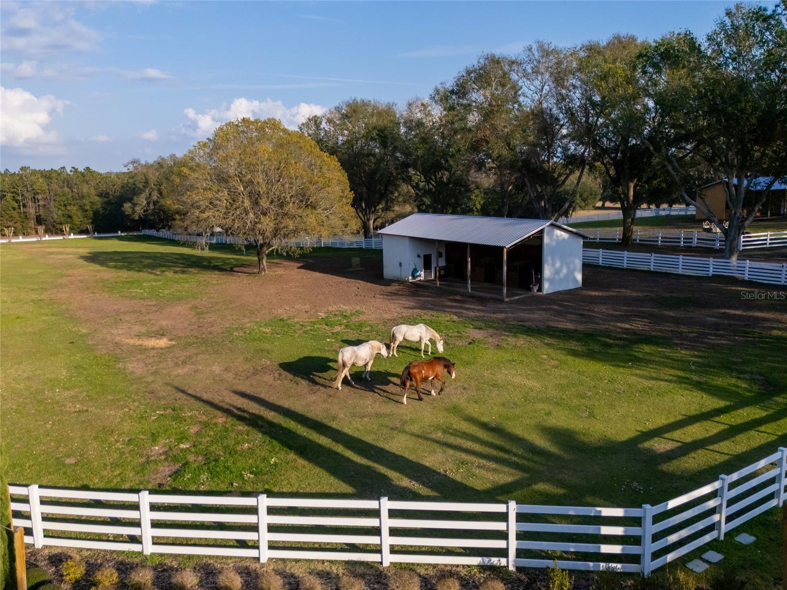 LAKE HARRIS HIGHLANDS SUB - Residential