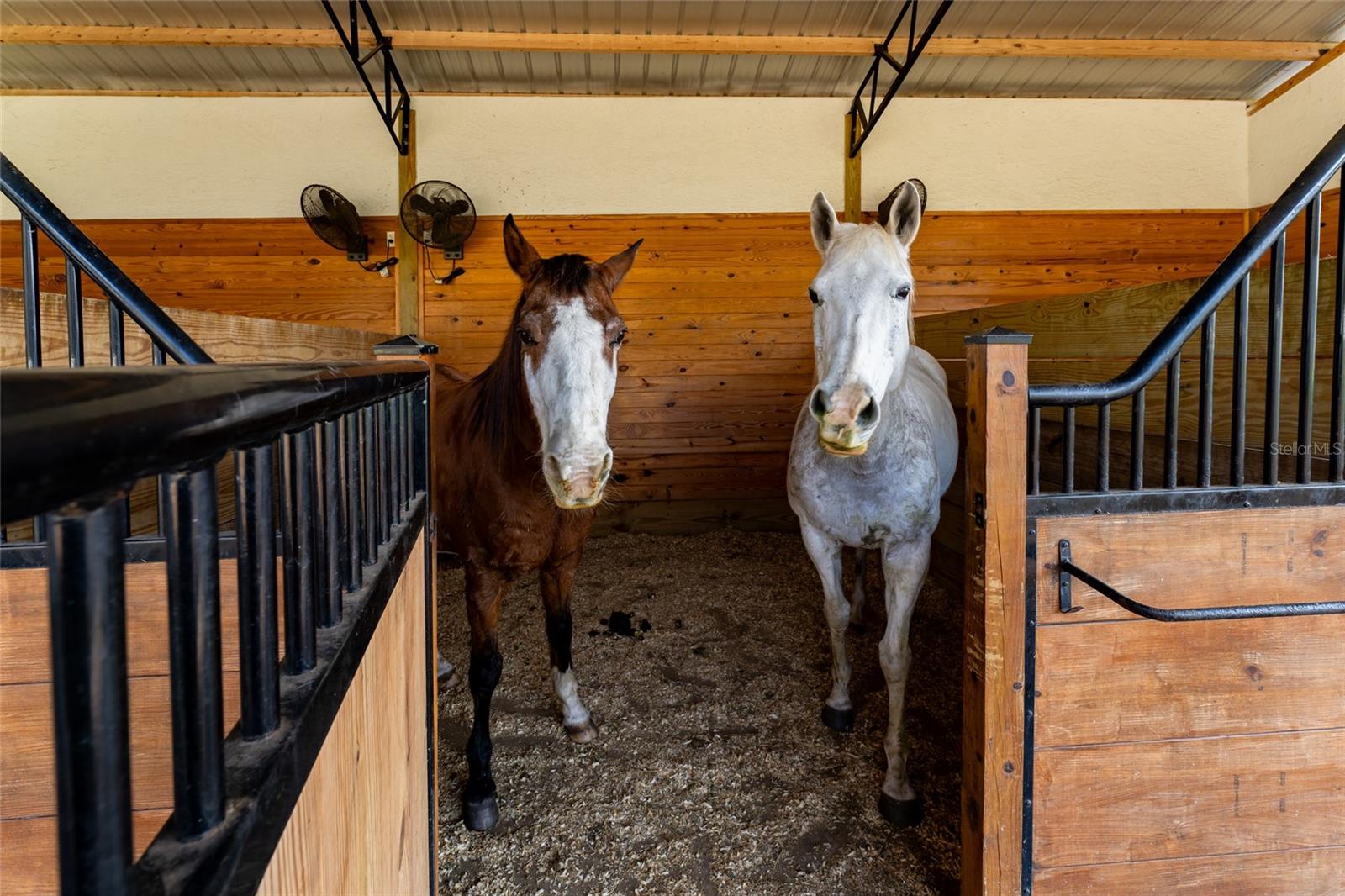 LAKE HARRIS HIGHLANDS SUB - Residential