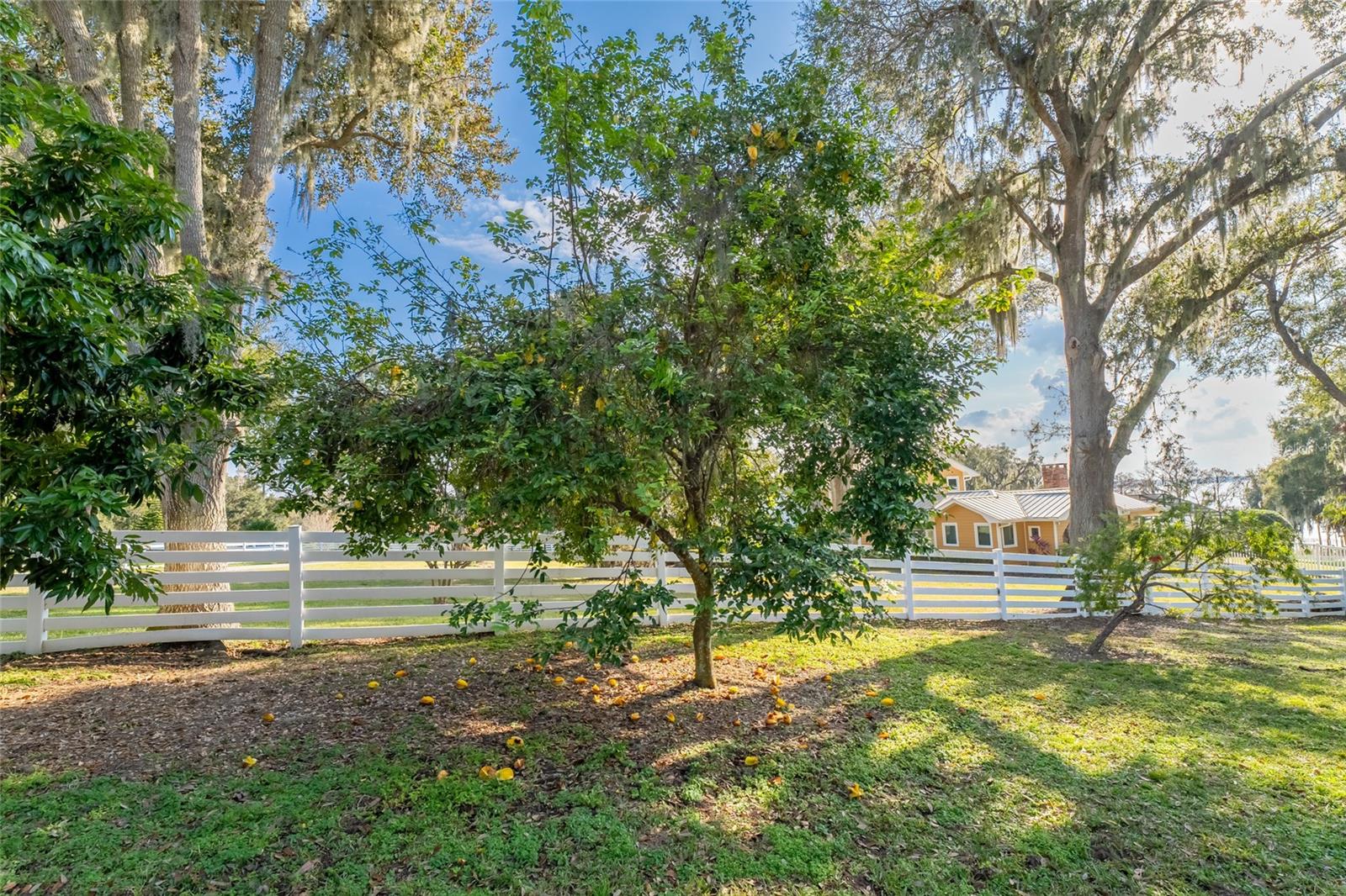 LAKE HARRIS HIGHLANDS SUB - Residential