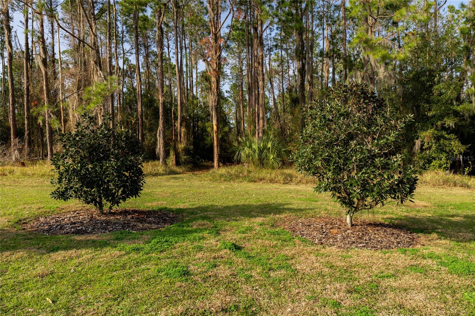 LAKE HARRIS HIGHLANDS SUB - Residential