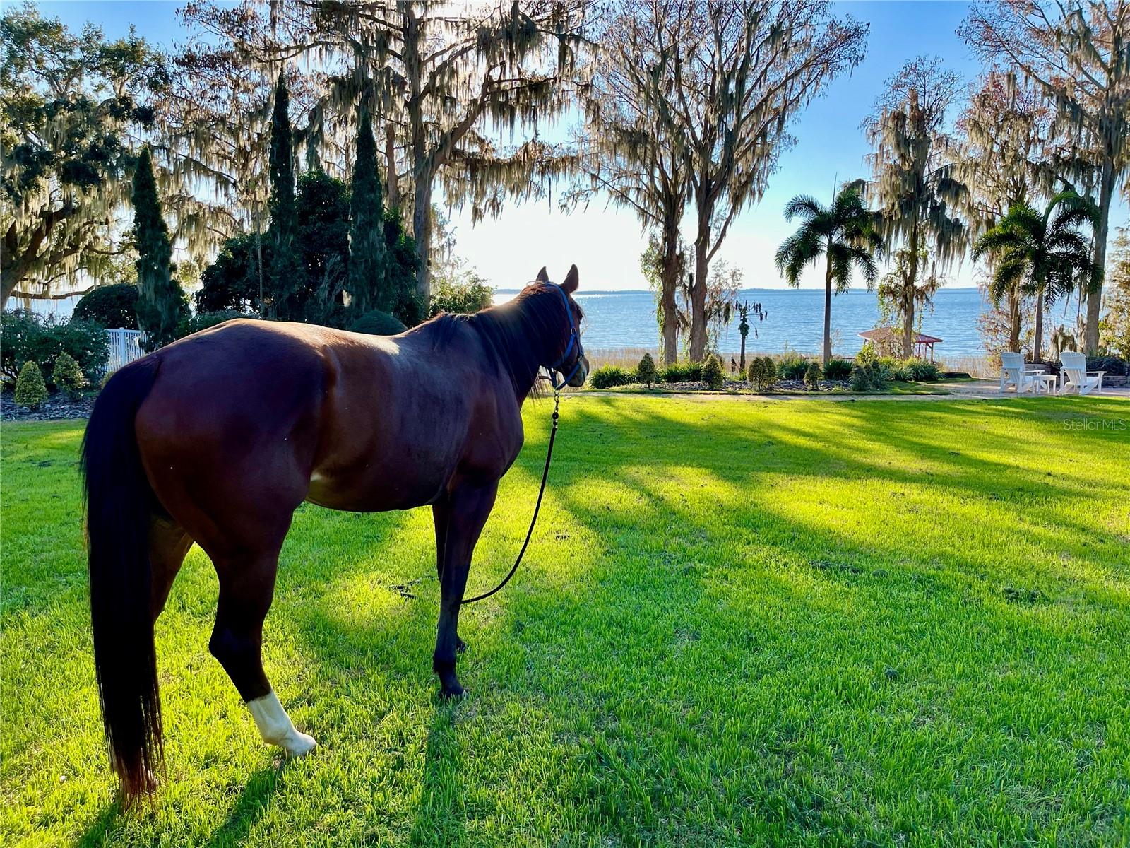 LAKE HARRIS HIGHLANDS SUB - Residential
