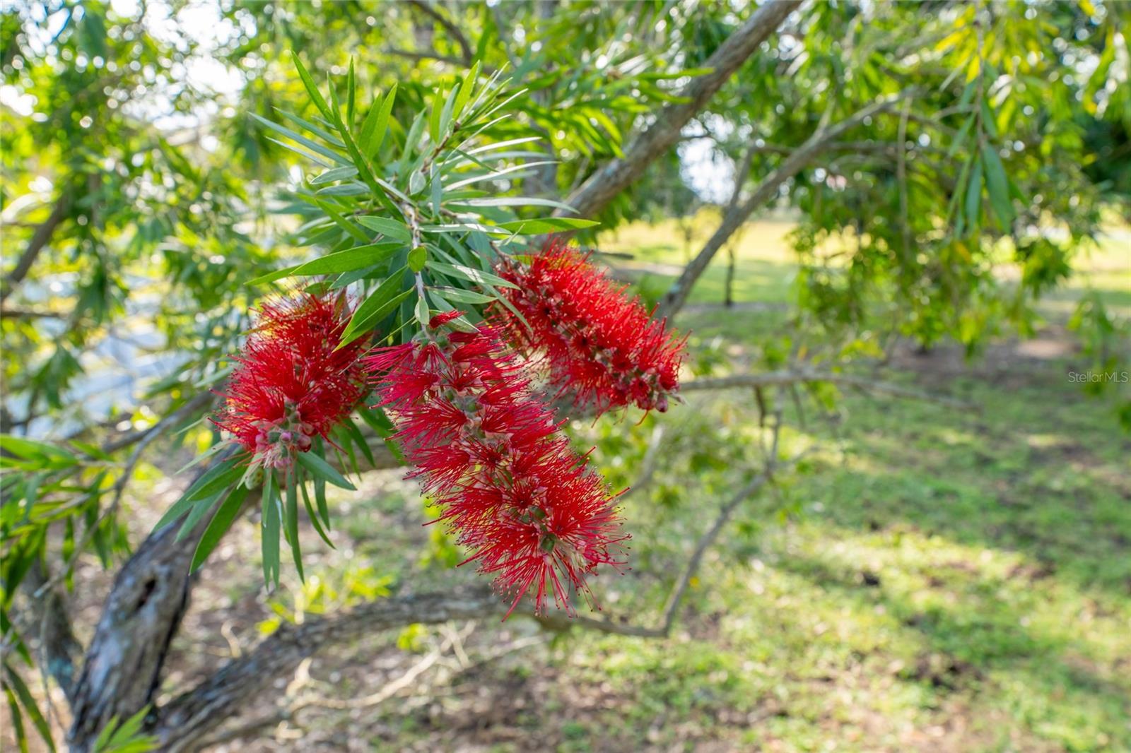 LAKE HARRIS HIGHLANDS SUB - Residential