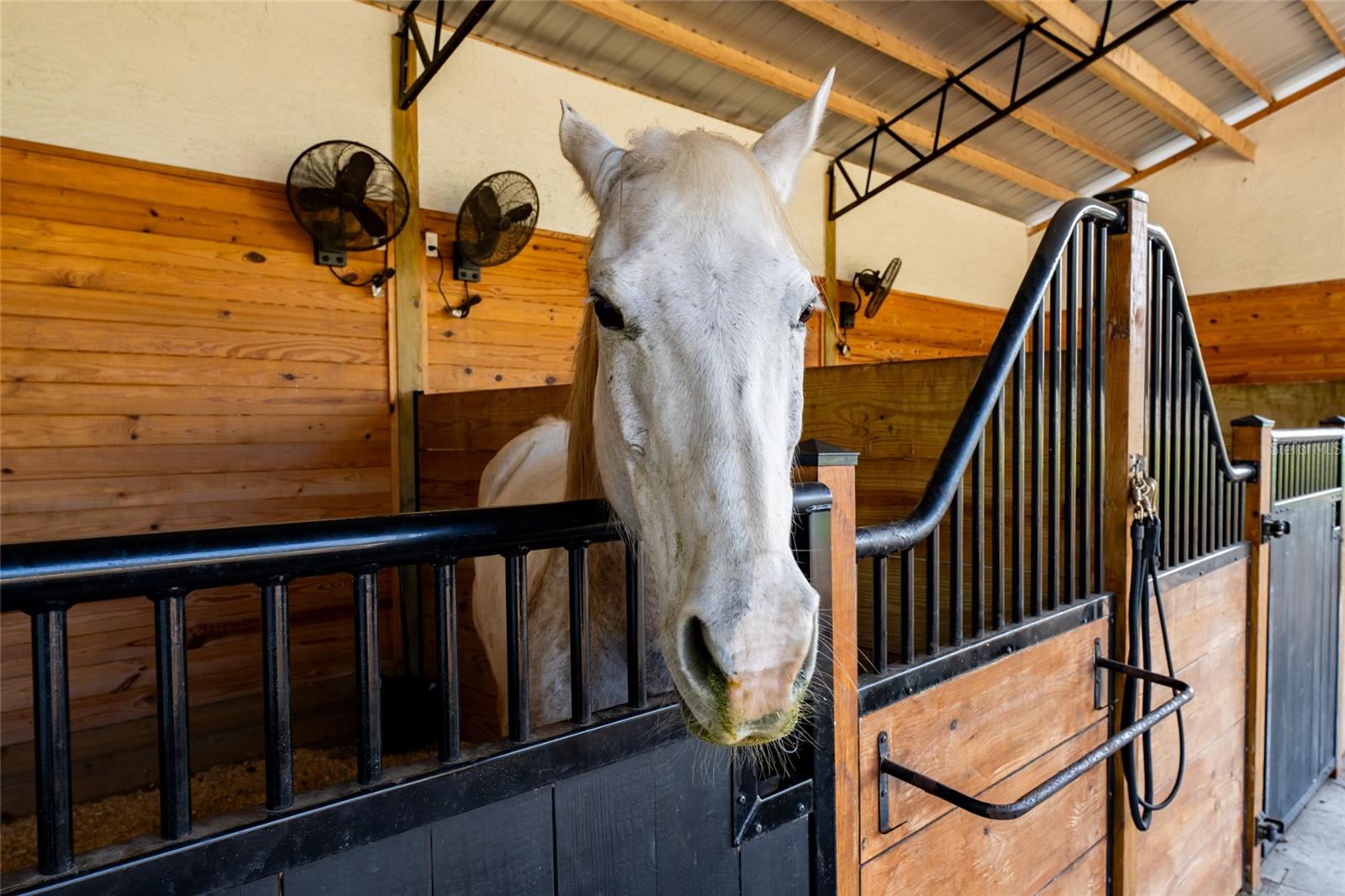 LAKE HARRIS HIGHLANDS SUB - Residential