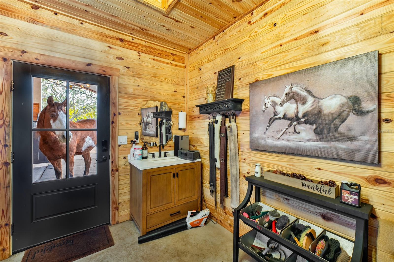 LAKE HARRIS HIGHLANDS SUB - Residential