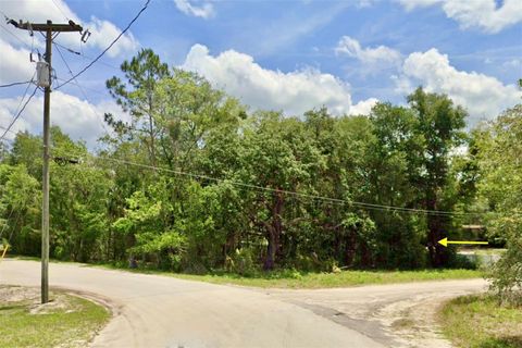 LOT 1 PALM DRIVE EUSTIS FL 32736