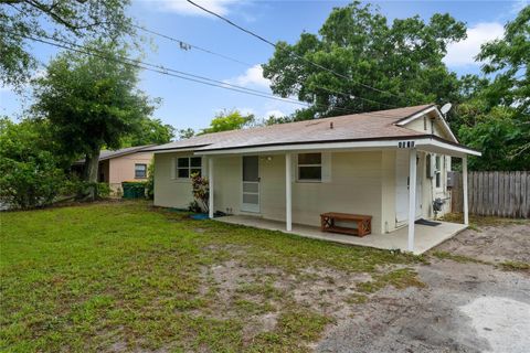 A home in MOUNT DORA