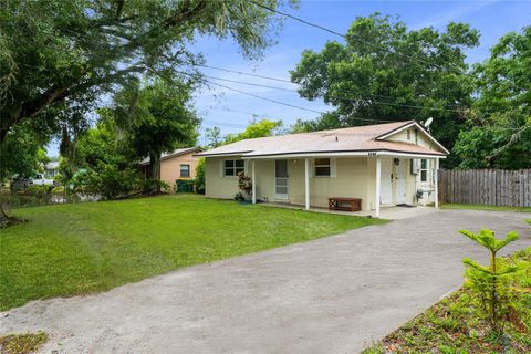 A home in MOUNT DORA