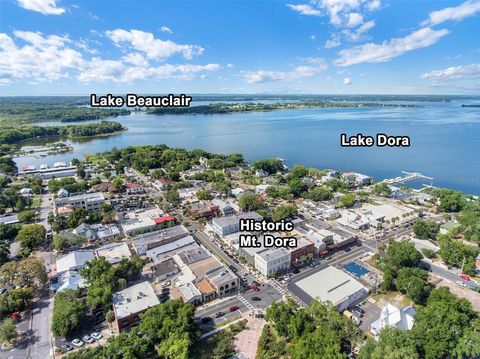 A home in MOUNT DORA