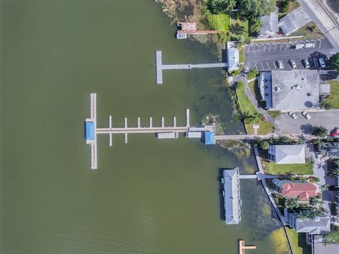 A home in MOUNT DORA