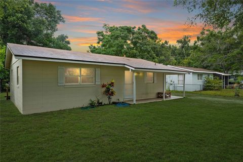 A home in MOUNT DORA