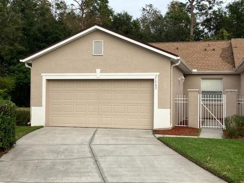 A home in LAND O LAKES