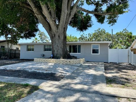 8996 SOUTHERN COMFORT DRIVE LARGO FL 33773