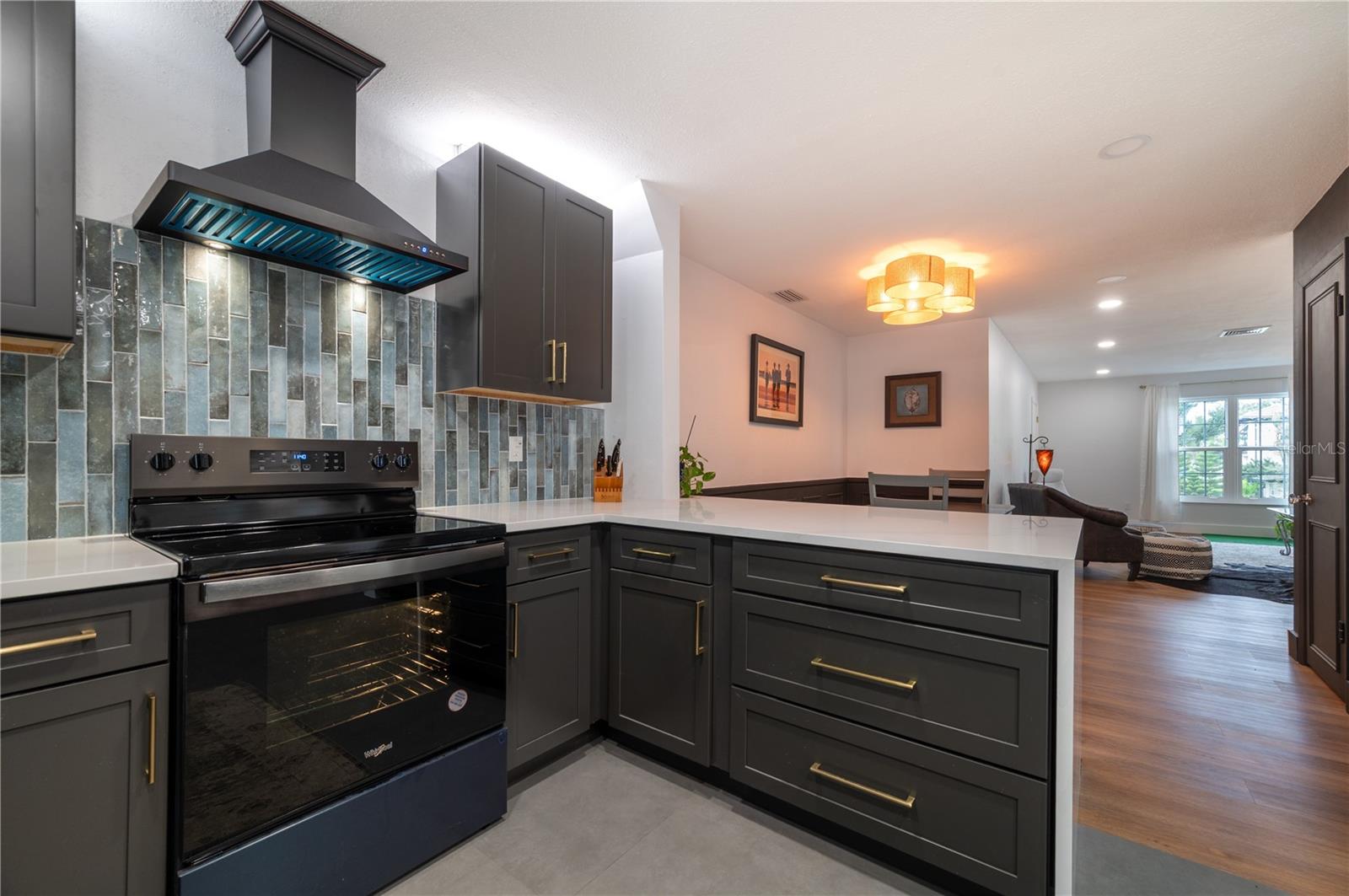 EDEN ISLE CONDO OF ST PETERSBURG - Residential Lease