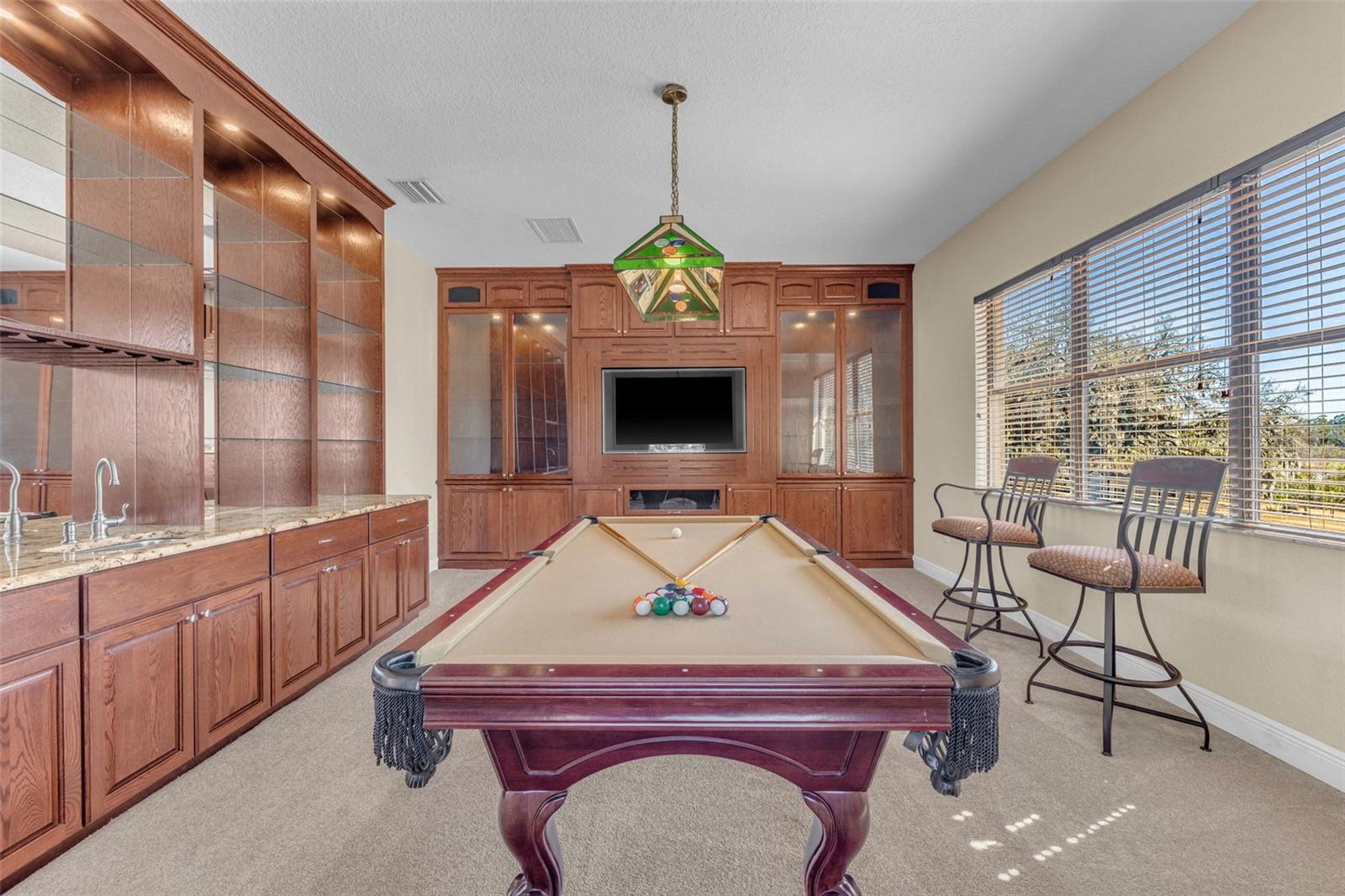 SHADOW RUN UNIT 1 - Residential