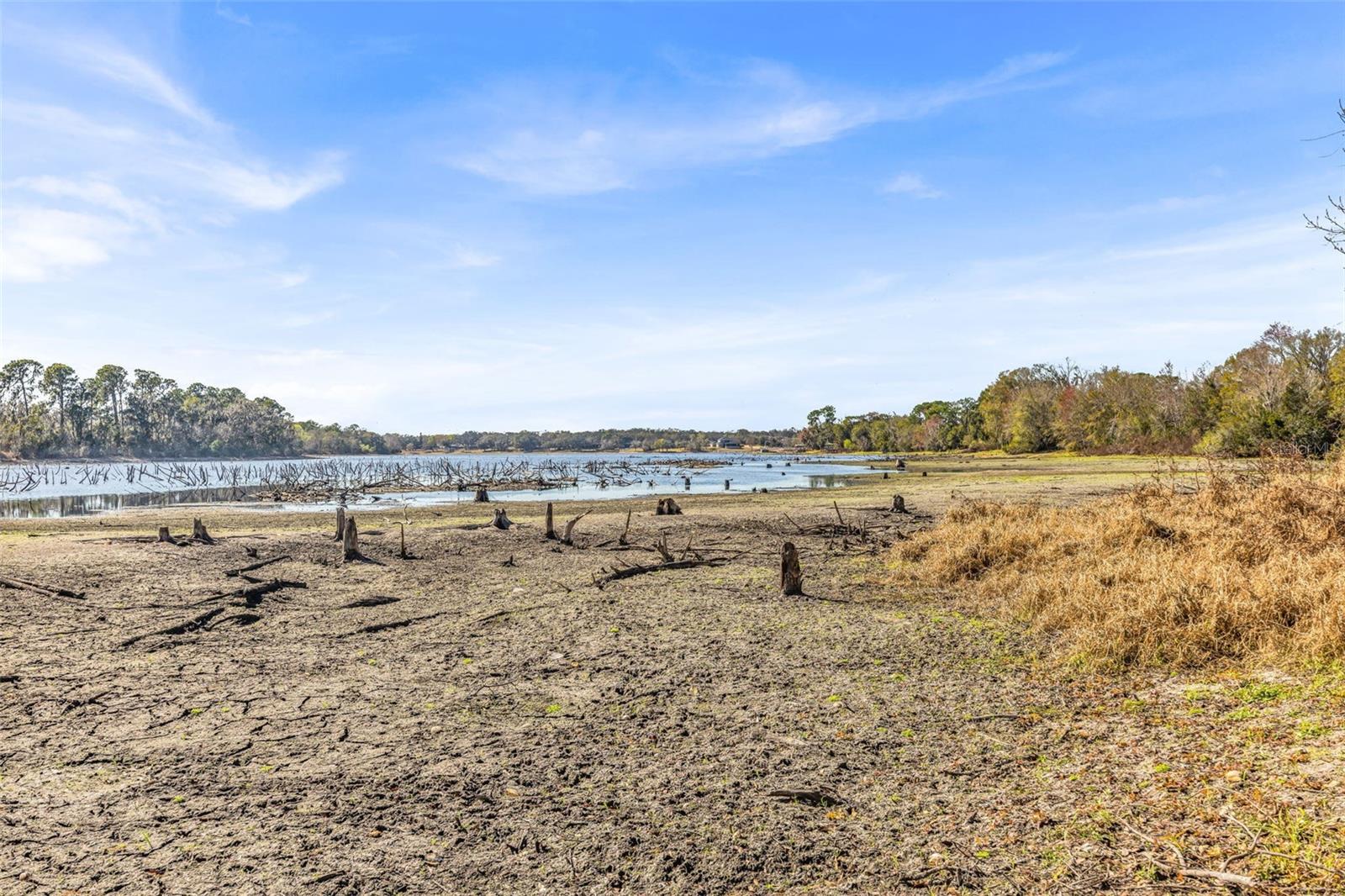 SHADOW RUN UNIT 1 - Residential