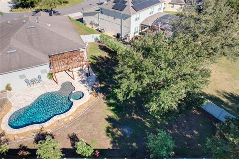 A home in MOUNT DORA