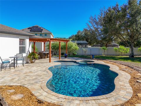 A home in MOUNT DORA