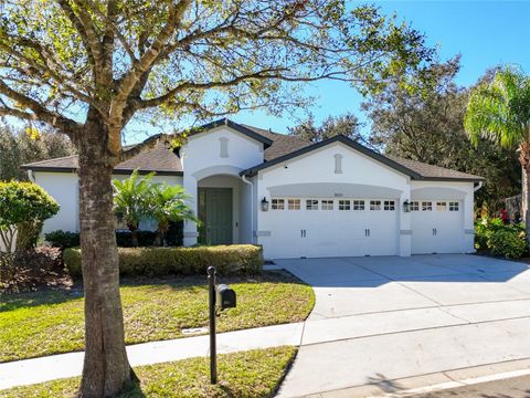 A home in MOUNT DORA